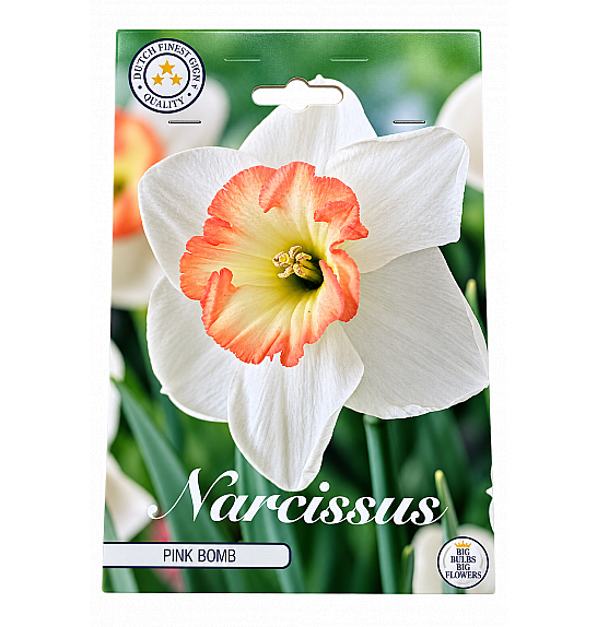 Narcis Trumpet Pink Bomb x5; 14/16