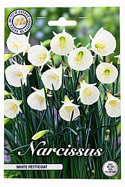Čebulice narcise 'White Petticoat'