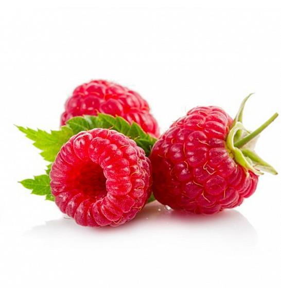Rubus idaeus Zefa C2 Lit. 30-40 cm