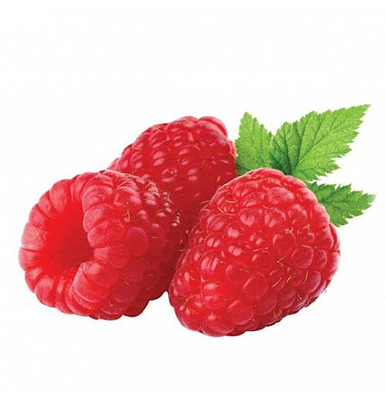Rubus idaeus Mailling Promise C2 Lit. 30-40 cm