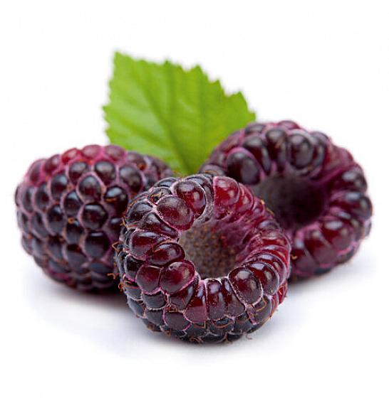 Rubus idaeus Glen Coe C2 Lit. 30-40 cm