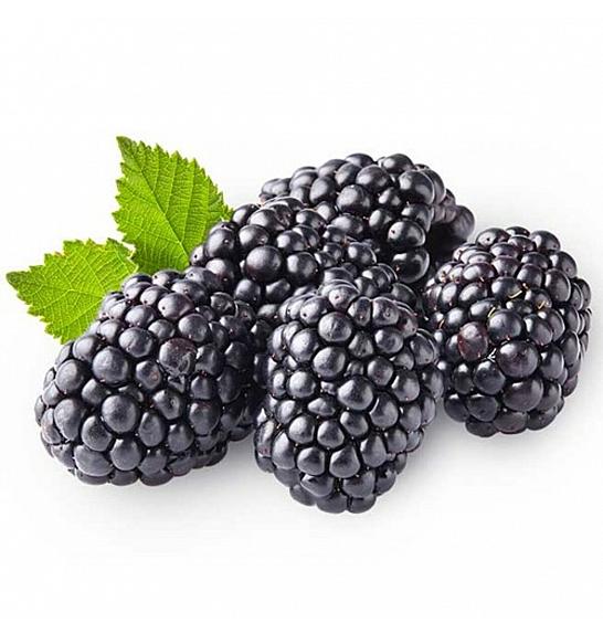 Rubus fruticosus Triple Crown C2 Lit. 30-40 cm