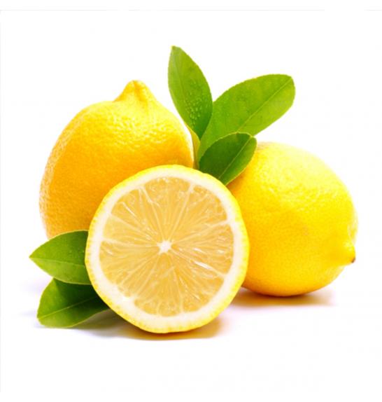 Citrus sinensis Limon Ø 20  Na steblu 40 cm