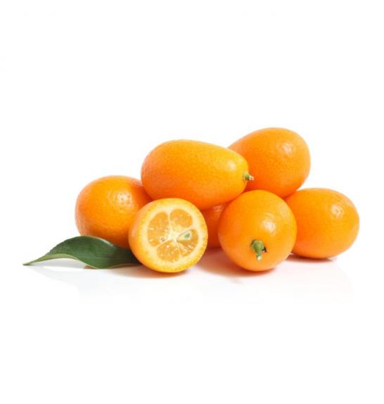 Citrus japonica Kumquat Ø 20  Na steblu 40 cm