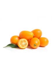 Citrus Kumquat - M