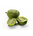 Actinidia arguta Nostino C2 Lit. 30-40 cm