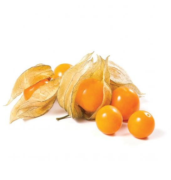 Physalis preciosa Rumene Andske jagode/mango Ø10,5