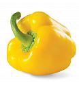 Paprika Yellow Sun F1 ™