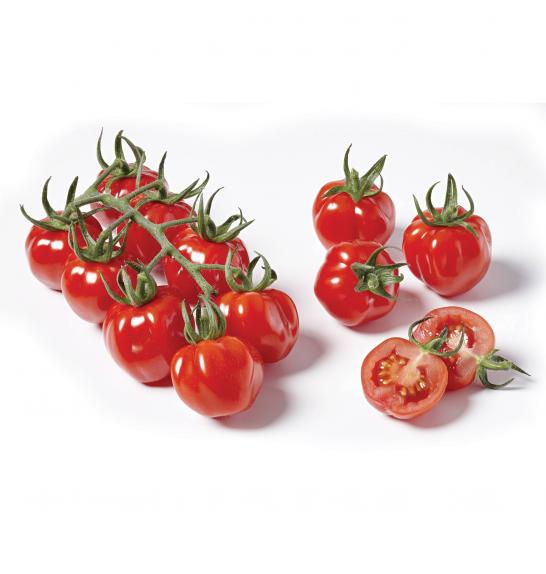 Paradižnik CE Tomatoberry F1 Ø12