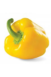 Paprika Yellow Sun F1 ™